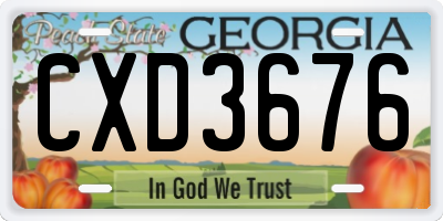 GA license plate CXD3676