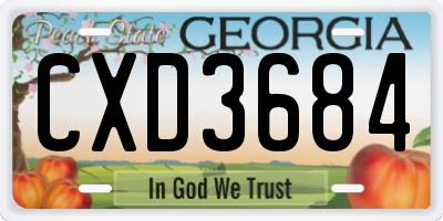 GA license plate CXD3684