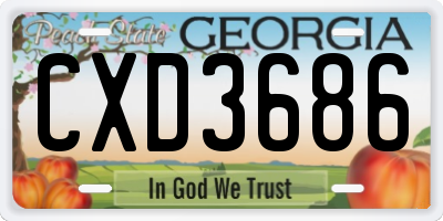 GA license plate CXD3686