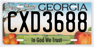 GA license plate CXD3688