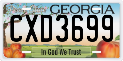 GA license plate CXD3699