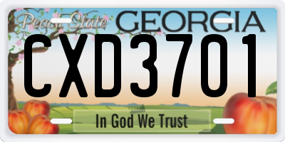 GA license plate CXD3701
