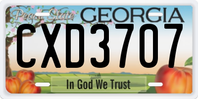 GA license plate CXD3707