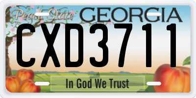 GA license plate CXD3711