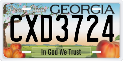 GA license plate CXD3724