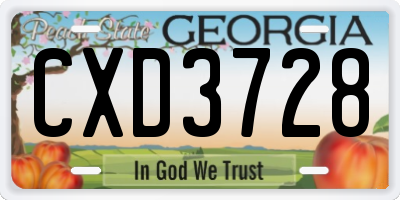 GA license plate CXD3728