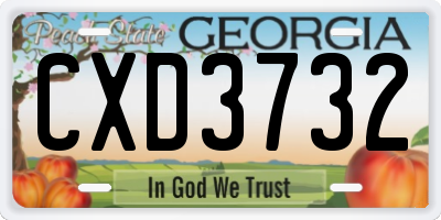 GA license plate CXD3732