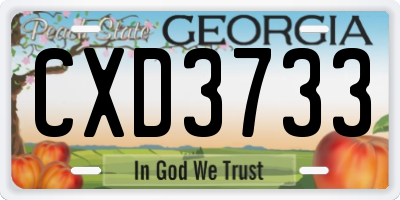 GA license plate CXD3733
