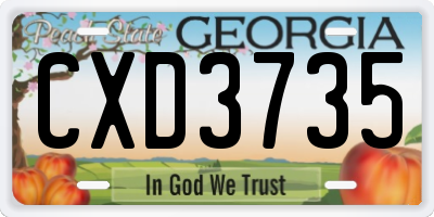 GA license plate CXD3735