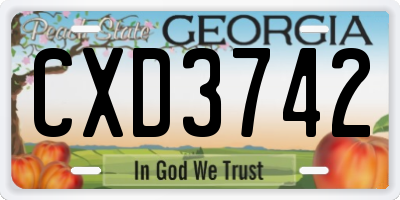 GA license plate CXD3742