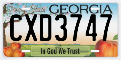 GA license plate CXD3747
