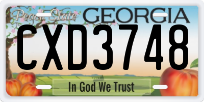 GA license plate CXD3748