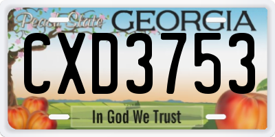 GA license plate CXD3753