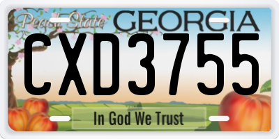 GA license plate CXD3755