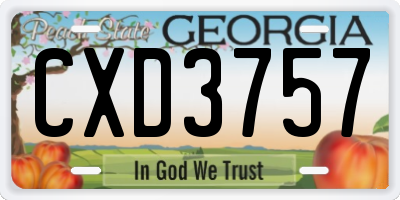 GA license plate CXD3757
