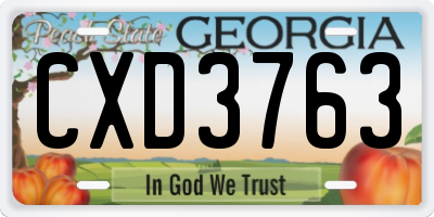 GA license plate CXD3763
