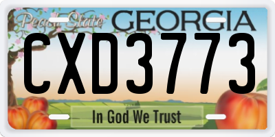GA license plate CXD3773