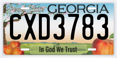 GA license plate CXD3783