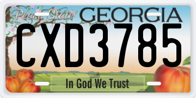 GA license plate CXD3785