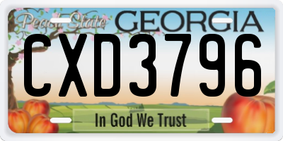 GA license plate CXD3796