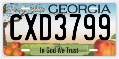 GA license plate CXD3799