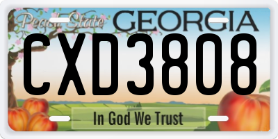 GA license plate CXD3808