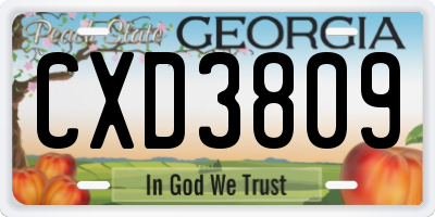 GA license plate CXD3809