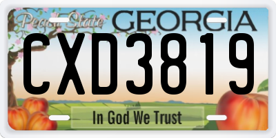 GA license plate CXD3819