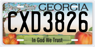 GA license plate CXD3826