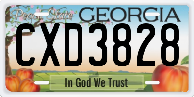 GA license plate CXD3828
