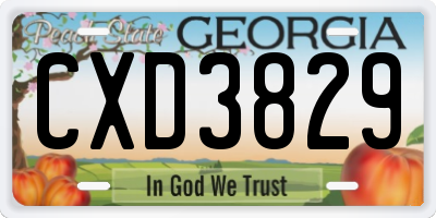 GA license plate CXD3829