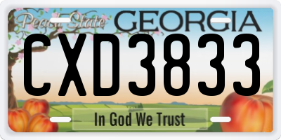 GA license plate CXD3833