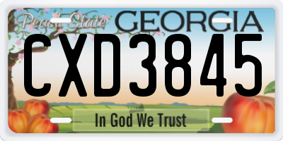 GA license plate CXD3845