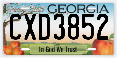 GA license plate CXD3852