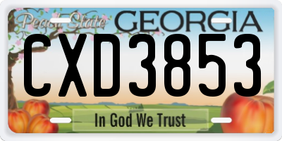 GA license plate CXD3853