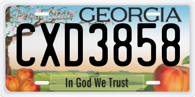 GA license plate CXD3858