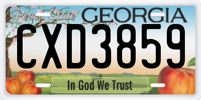 GA license plate CXD3859