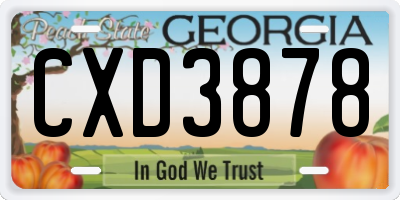 GA license plate CXD3878