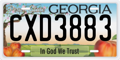 GA license plate CXD3883