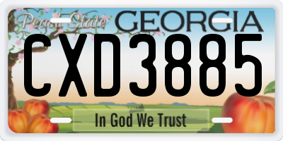 GA license plate CXD3885