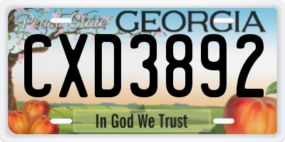 GA license plate CXD3892