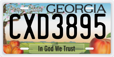 GA license plate CXD3895