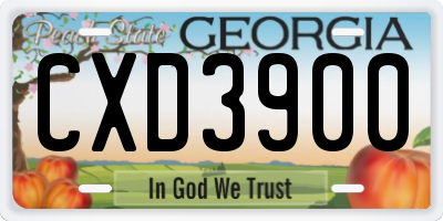 GA license plate CXD3900