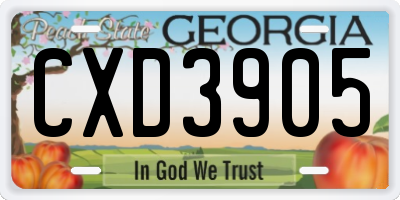 GA license plate CXD3905