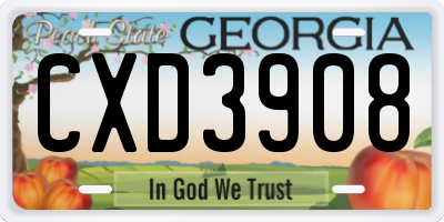 GA license plate CXD3908