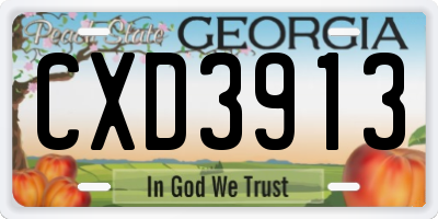 GA license plate CXD3913