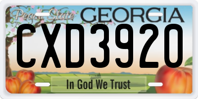 GA license plate CXD3920