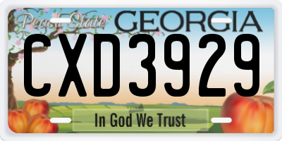 GA license plate CXD3929
