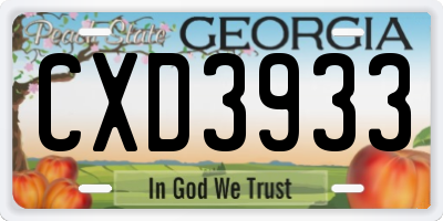 GA license plate CXD3933