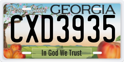 GA license plate CXD3935